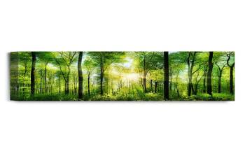 Canvas Prints Wall Art -The scenic forest of nice sunshine. 36x16x1.5"