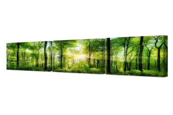 Canvas Prints Wall Art -The scenic forest of nice sunshine(Triptych) 60x24"