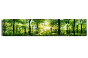 The Scenic Forest Of Nice Sunshine 30X12X1.5